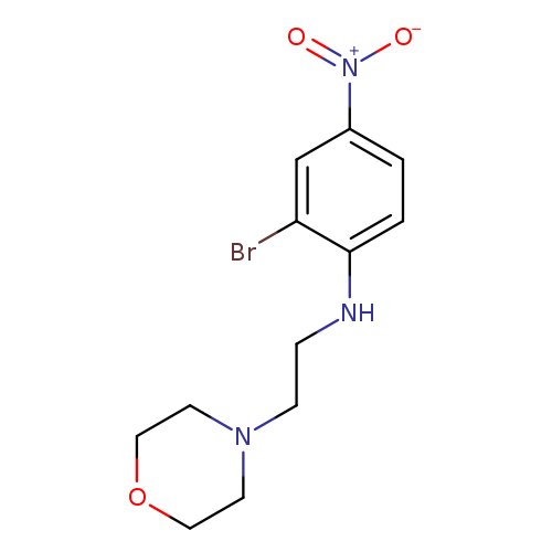 2-Bromo-n-(2-morpholinoethyl)-4-nitroaniline