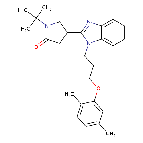 1-tert-butyl-4-{1-[3-(2,5-dimethylphenoxy)propyl]-1H-1,3-benzodiazol-2-yl}pyrrolidin-2-one