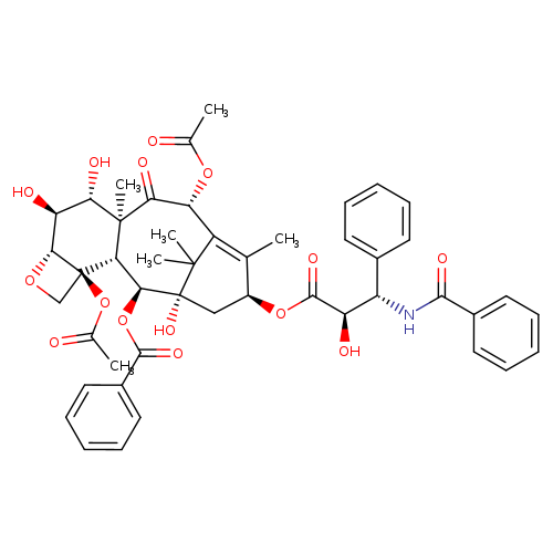 6α-hydroxy Paclitaxel