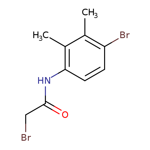 2-Bromo-n-(4-bromo-2,3-dimethylphenyl)acetamide