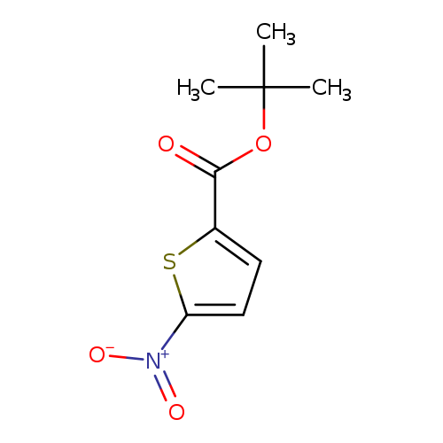 2-Thiophenecarboxylic acid, 5-nitro-, 1,1-dimethylethyl ester