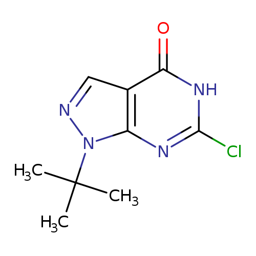 1-tert-butyl-6-chloro-1H,4H,5H-pyrazolo[3,4-d]pyrimidin-4-one