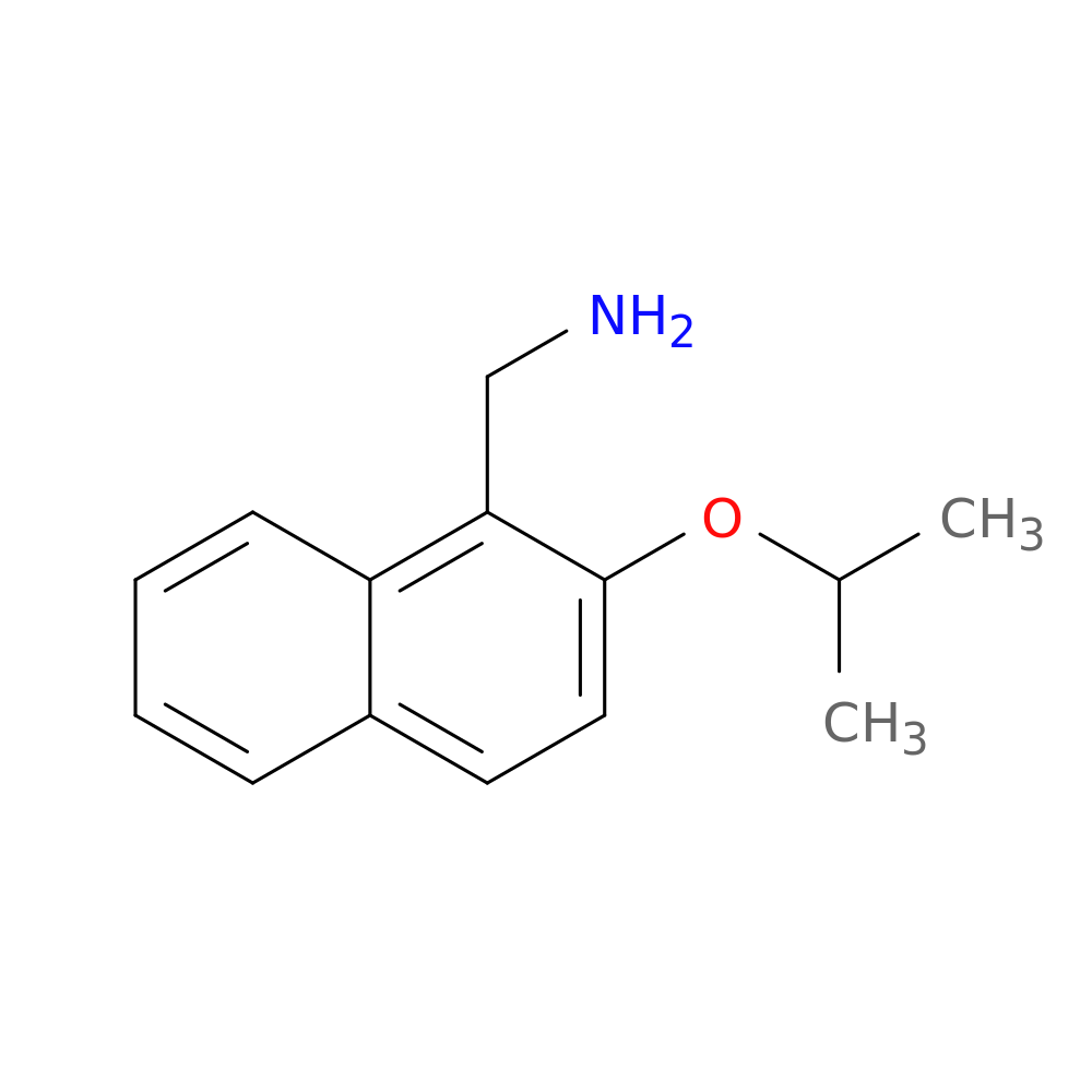 [2-(propan-2-yloxy)naphthalen-1-yl]methanamine