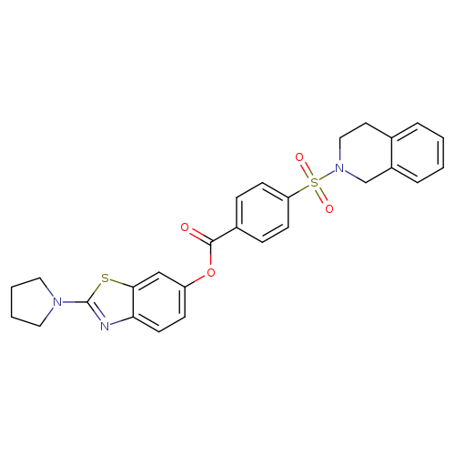 2-(pyrrolidin-1-yl)-1,3-benzothiazol-6-yl 4-(1,2,3,4-tetrahydroisoquinoline-2-sulfonyl)benzoate