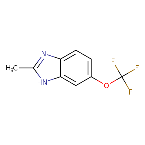 2-Methyl-5-(trifluoromethoxy)benzoimidazole