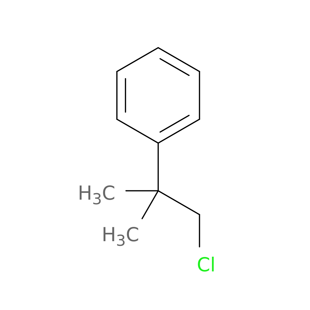 2-Chloromethyl-2-phenylpropane