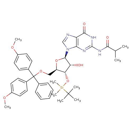 5'-DMT-3'-TBDMS-ibu-rG