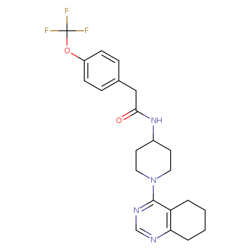N-[1-(5,6,7,8-tetrahydroquinazolin-4-yl)piperidin-4-yl]-2-[4-(trifluoromethoxy)phenyl]acetamide