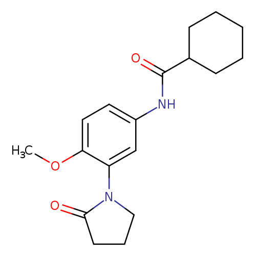 N-[4-methoxy-3-(2-oxopyrrolidin-1-yl)phenyl]cyclohexanecarboxamide