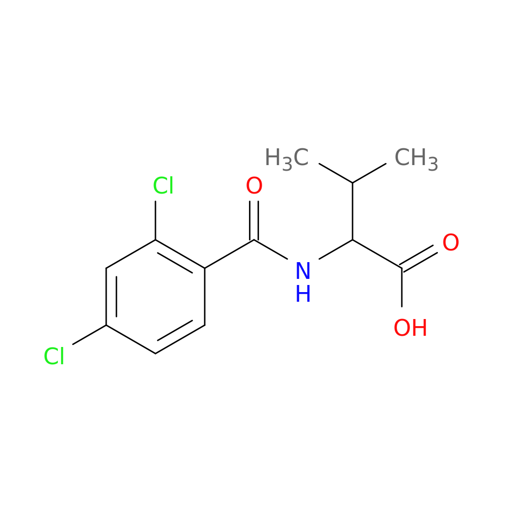 2-[(2,4-dichlorophenyl)formamido]-3-methylbutanoic acid