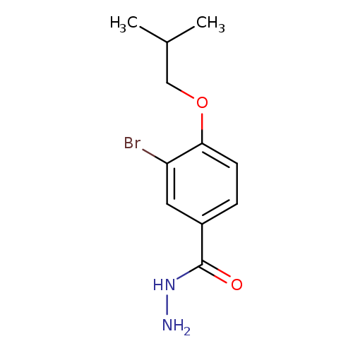 3-Bromo-4-isobutoxybenzohydrazide