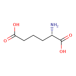 (S)-2-aminohexanedioic acid