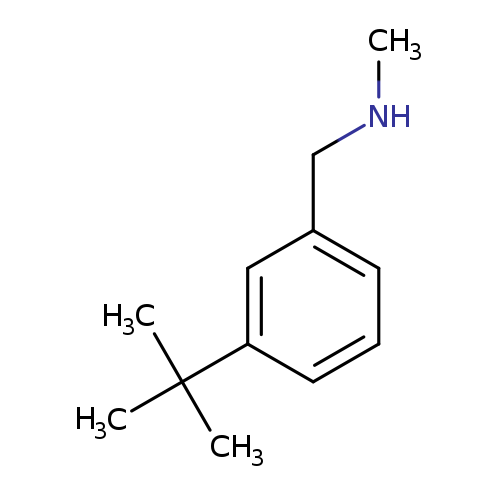 [(3-tert-butylphenyl)methyl](methyl)amine