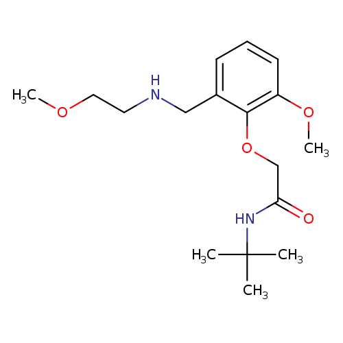 N-(tert-butyl)-2-(2-methoxy-6-{[(2-methoxyethyl)amino]methyl}phenoxy)acetamide
