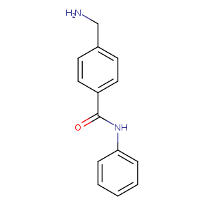 N-phenyl 4-(aminomethyl)benzamide