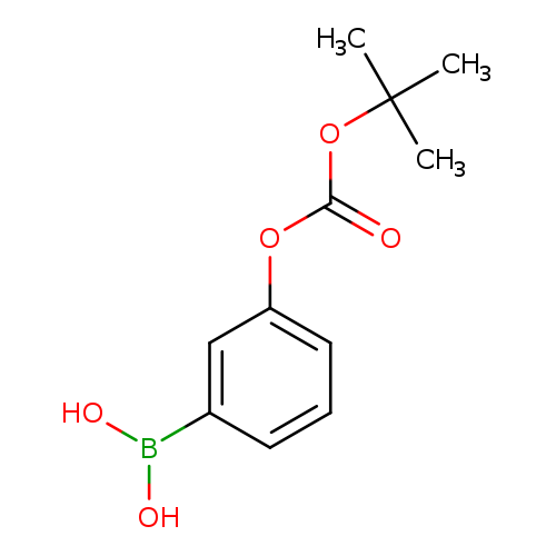 3-t-Butoxycarboxyphenylboronic acid