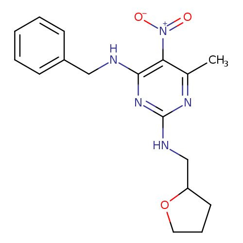 N4-benzyl-6-methyl-5-nitro-N2-[(oxolan-2-yl)methyl]pyrimidine-2,4-diamine