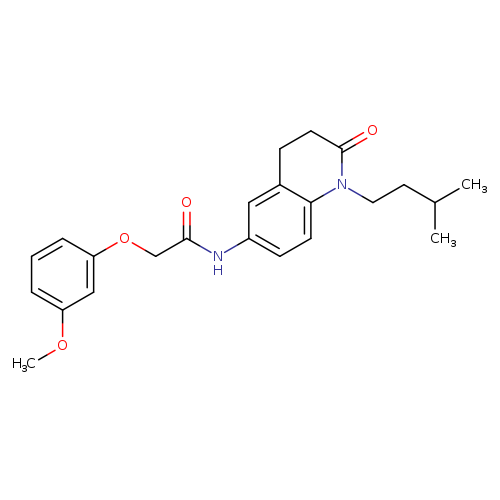 2-(3-methoxyphenoxy)-N-[1-(3-methylbutyl)-2-oxo-1,2,3,4-tetrahydroquinolin-6-yl]acetamide