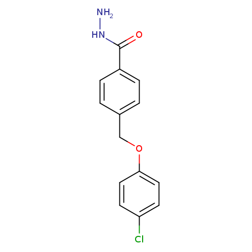4-((4-Chlorophenoxy)methyl)benzohydrazide