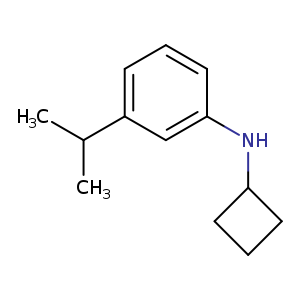 N-Cyclobutyl-3-(propan-2-yl)aniline