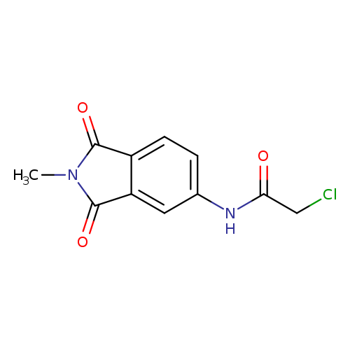 2-Chloro-N-(2-methyl-1,3-dioxo-2,3-dihydro-1H-isoindol-5-yl)acetamide