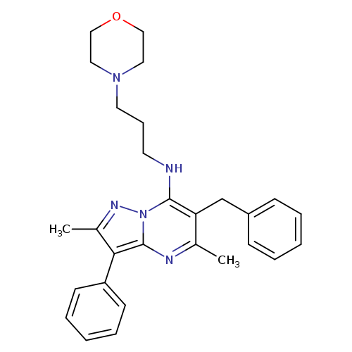 6-benzyl-2,5-dimethyl-N-[3-(morpholin-4-yl)propyl]-3-phenylpyrazolo[1,5-a]pyrimidin-7-amine