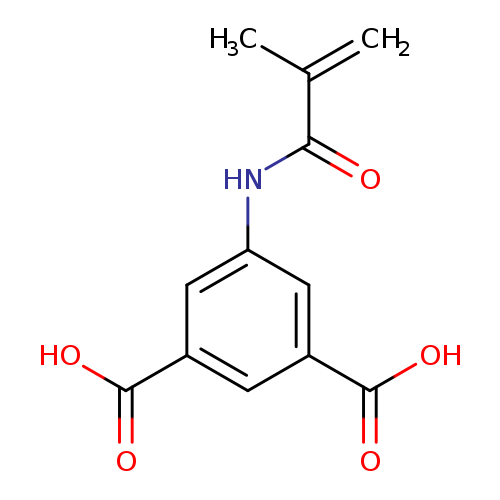 5-Methacrylamidoisophthalic acid
