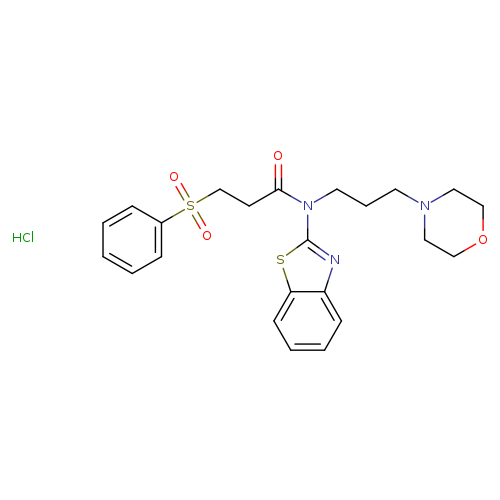 3-(benzenesulfonyl)-N-(1,3-benzothiazol-2-yl)-N-[3-(morpholin-4-yl)propyl]propanamide hydrochloride