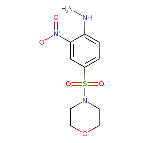 4-(4-hydrazinyl-3-nitrobenzenesulfonyl)morpholine