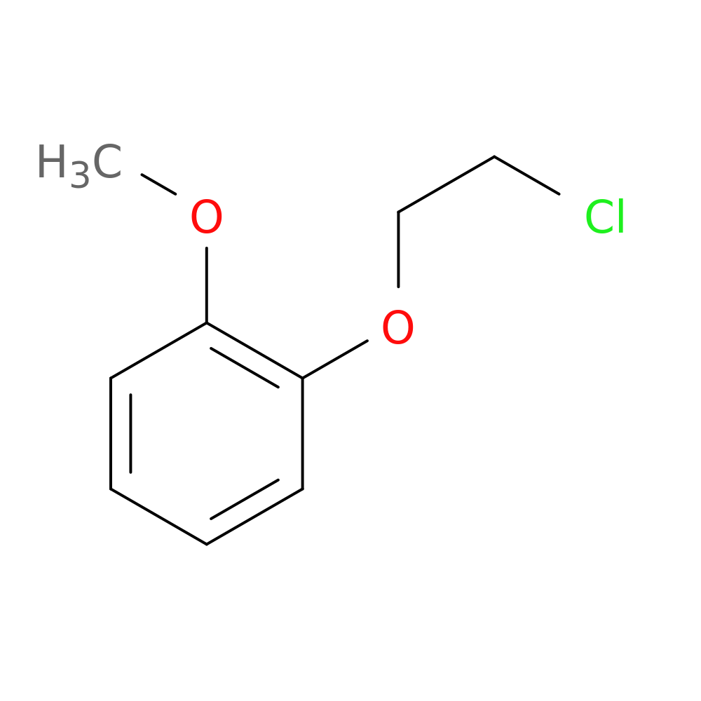 1-(2-Chloroethoxy)-2-methoxybenzene