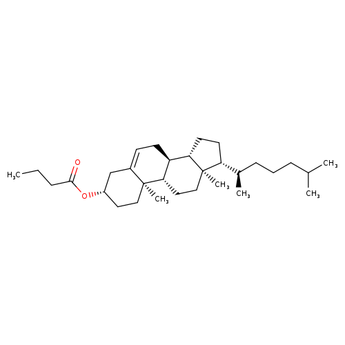 Cholesteryl N-Butyrate