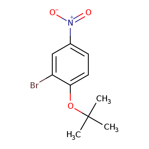 2-bromo-1-(tert-butoxy)-4-nitrobenzene