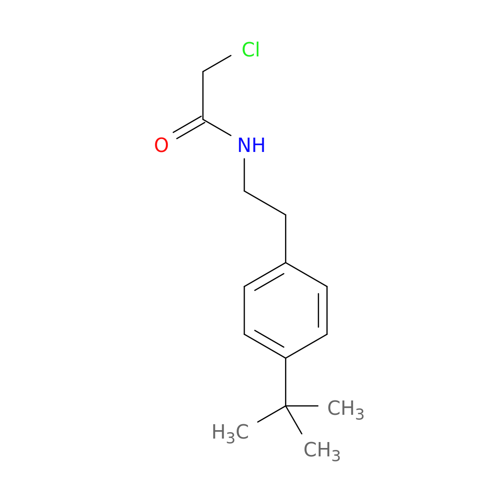 N-[2-(4-tert-butylphenyl)ethyl]-2-chloroacetamide