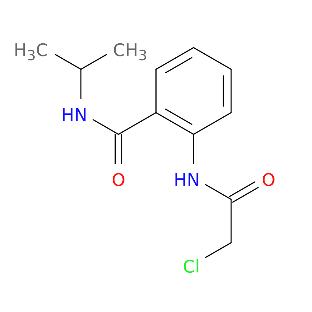 2-(2-chloroacetamido)-N-(propan-2-yl)benzamide