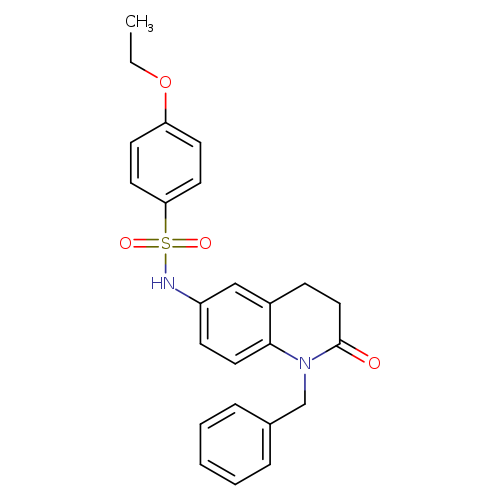 N-(1-benzyl-2-oxo-1,2,3,4-tetrahydroquinolin-6-yl)-4-ethoxybenzene-1-sulfonamide