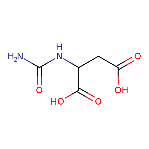 2-Ureidosuccinic Acid