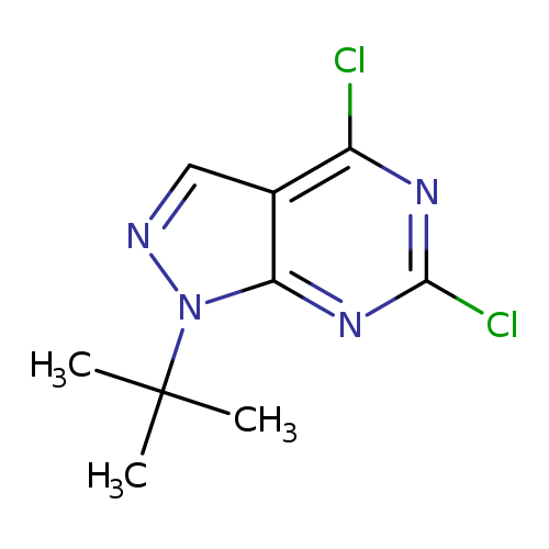 1H-Pyrazolo[3,4-d]pyrimidine, 4,6-dichloro-1-(1,1-dimethylethyl)-