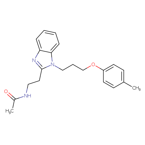 N-(2-{1-[3-(4-methylphenoxy)propyl]-1H-1,3-benzodiazol-2-yl}ethyl)acetamide