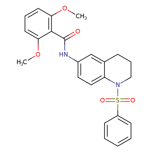 N-[1-(benzenesulfonyl)-1,2,3,4-tetrahydroquinolin-6-yl]-2,6-dimethoxybenzamide