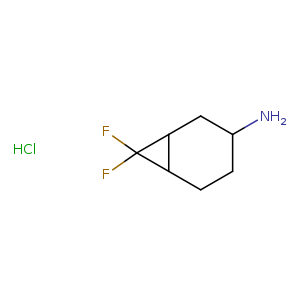 7,7-Difluorobicyclo[4.1.0]heptan-3-amine hydrochloride