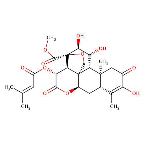 Brusatol