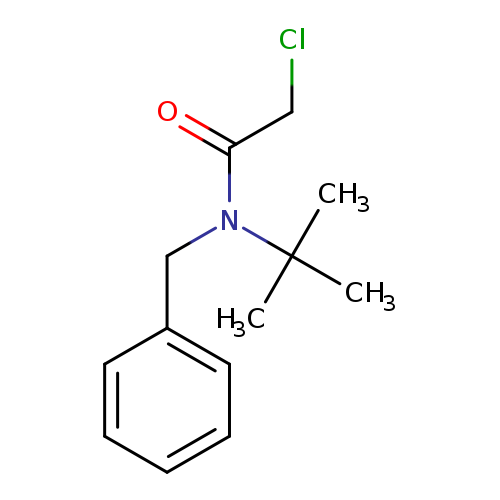 N-benzyl-N-tert-butyl-2-chloroacetamide