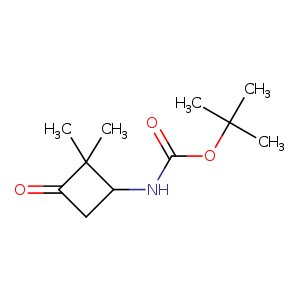 tert-Butyl 2,2-dimethyl-3-oxo-cyclobutylcarbamate