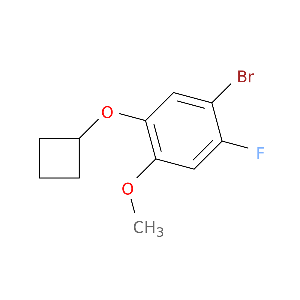 1-BROMO-5-CYCLOBUTOXY-2-FLUORO-4-METHOXYBENZENE