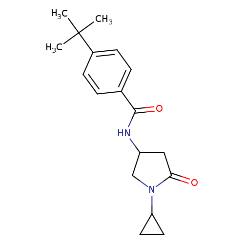 4-tert-butyl-N-(1-cyclopropyl-5-oxopyrrolidin-3-yl)benzamide