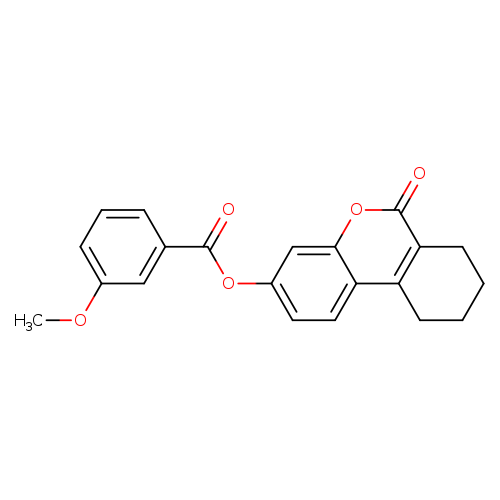 6-oxo-6H,7H,8H,9H,10H-cyclohexa[c]chromen-3-yl 3-methoxybenzoate