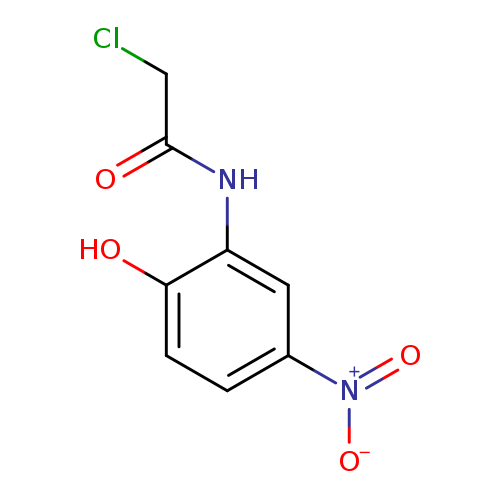2-Chloro-n-(2-hydroxy-5-nitrophenyl)acetamide
