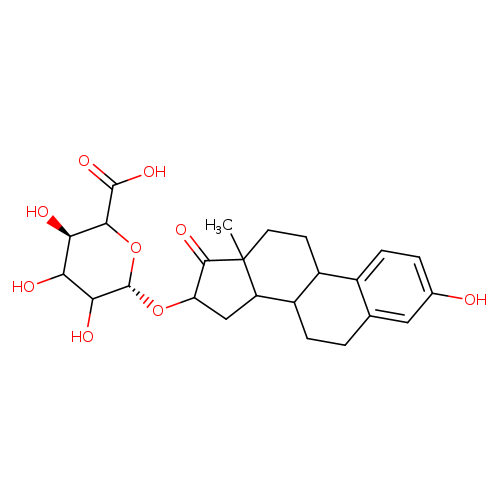 16α-Hydroxyestrone 16-β-D-Glucuronide