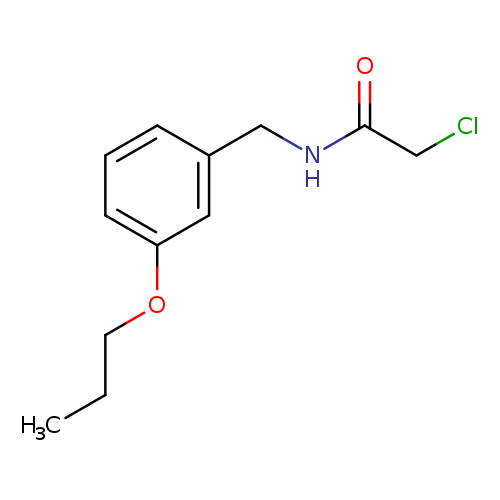 2-chloro-N-[(3-propoxyphenyl)methyl]acetamide