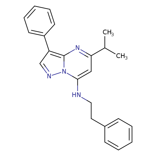 3-phenyl-N-(2-phenylethyl)-5-(propan-2-yl)pyrazolo[1,5-a]pyrimidin-7-amine